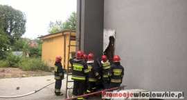 zdjęcie nr 24