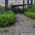 zdjęcie nr 42