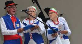 zdjęcie nr 115
