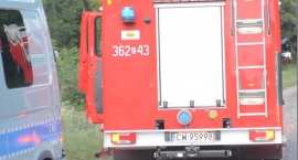 zdjęcie nr 14