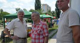 zdjęcie nr 16