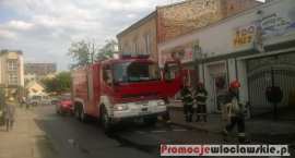 Fotka nr 3 z 12