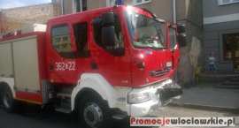 Fotka nr 2 z 12