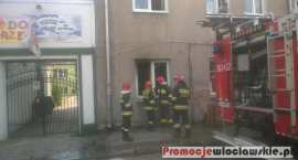 zdjęcie nr 7