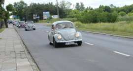 zdjęcie nr 61