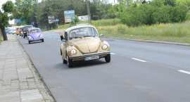zdjęcie nr 40