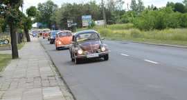 zdjęcie nr 53