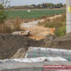 zdjęcie nr 24
