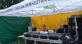 zdjęcie nr 11