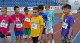 zdjęcie nr 13