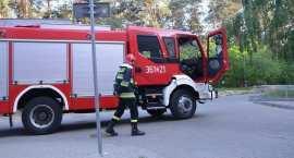 Fotka nr 2 z 15