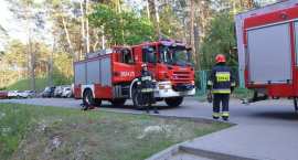 Fotka nr 1 z 15