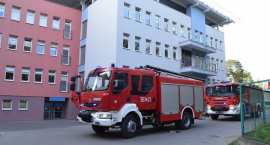 Fotka nr 4 z 15