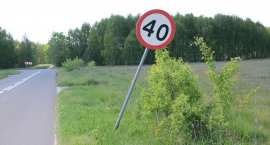 zdjęcie nr 12