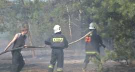 zdjęcie nr 48