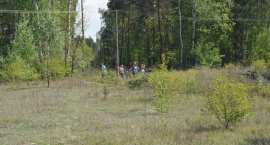 zdjęcie nr 31