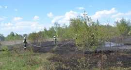 zdjęcie nr 58