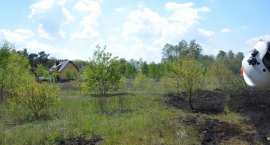 zdjęcie nr 57