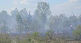 zdjęcie nr 44
