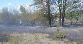 zdjęcie nr 67
