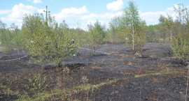 zdjęcie nr 59