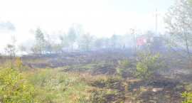zdjęcie nr 34