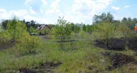 zdjęcie nr 56