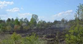 zdjęcie nr 65