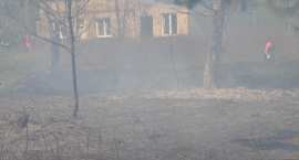 zdjęcie nr 20