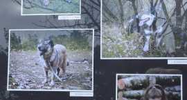 zdjęcie nr 22