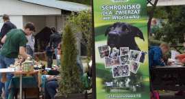 zdjęcie nr 25