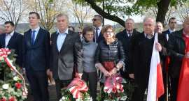 zdjęcie nr 14