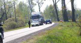 zdjęcie nr 12