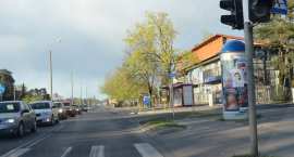 zdjęcie nr 10