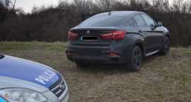 Fotka nr 2 z 5