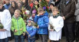 zdjęcie nr 37