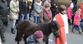 zdjęcie nr 117