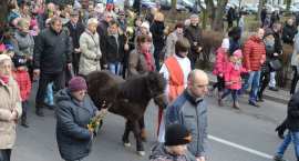 zdjęcie nr 116