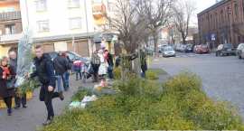 zdjęcie nr 7