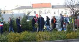 zdjęcie nr 8
