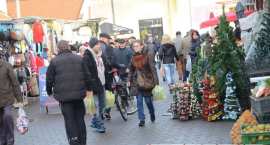 zdjęcie nr 26