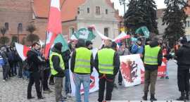 zdjęcie nr 11