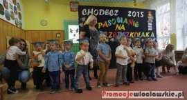 zdjęcie nr 13