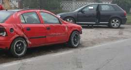 Fotka nr 3 z 7
