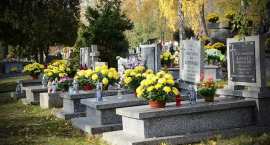 zdjęcie nr 8