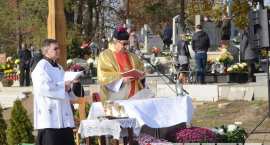 zdjęcie nr 46