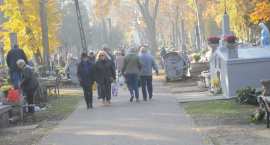 zdjęcie nr 48