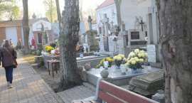 zdjęcie nr 41