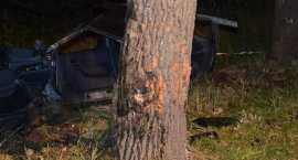 zdjęcie nr 32