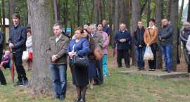 zdjęcie nr 8